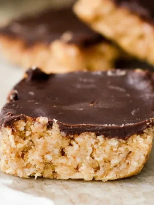 no bake vegan coconut almond bars