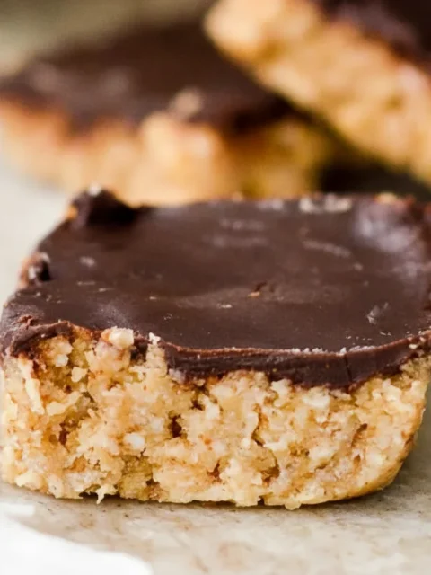 no bake vegan coconut almond bars